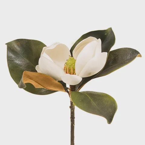 Magnolia Short Stem 60cm White