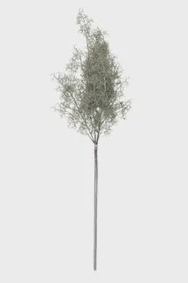 Fennel Spray Stem 20x75cm