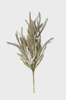 Tall Grass Stem 58cm Natural