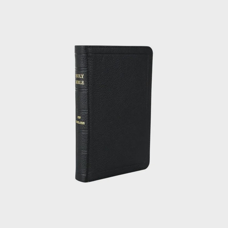 JN Darby No 17 Medium Bible with zip binding 1961 edition