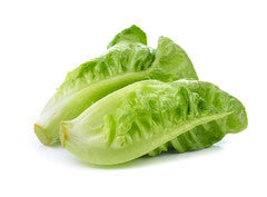 Lettuce Baby Cos, Twin Pack